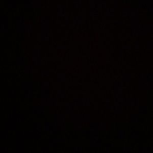 Meet your Posher, Darryl